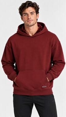 Alphalete Mens Luxury Velvet Lined Hoodie Pullover Burgundy Size XL New Velour